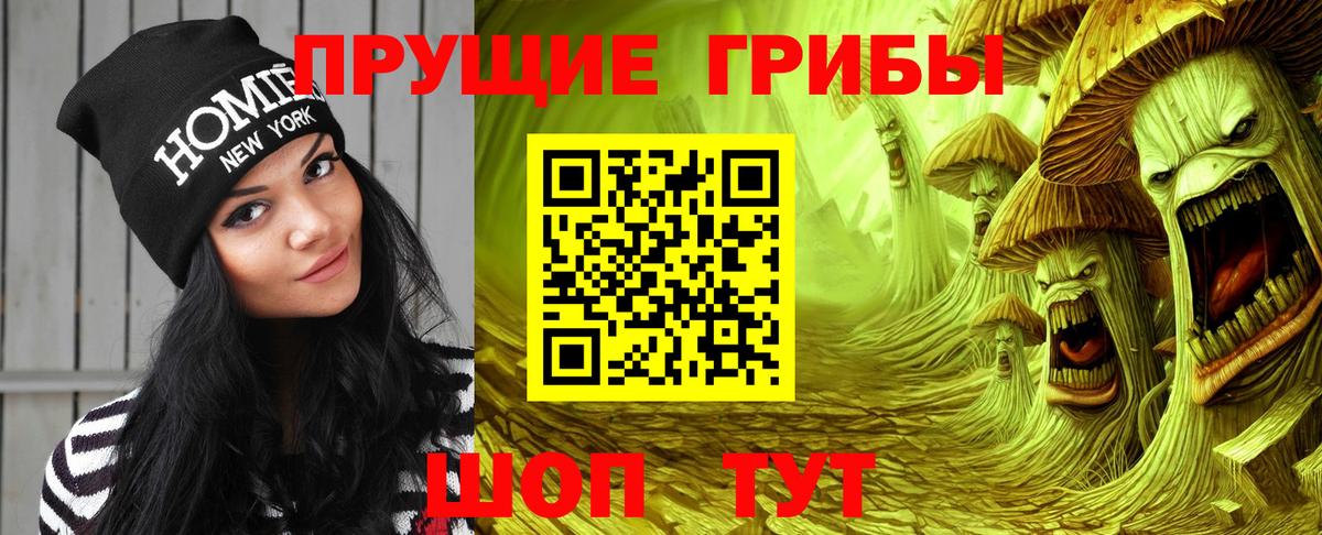 Галлюциногенные грибы Psilocybine cubensis Шали